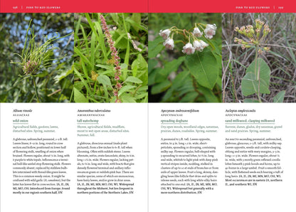 Wildflowers of the Midwest