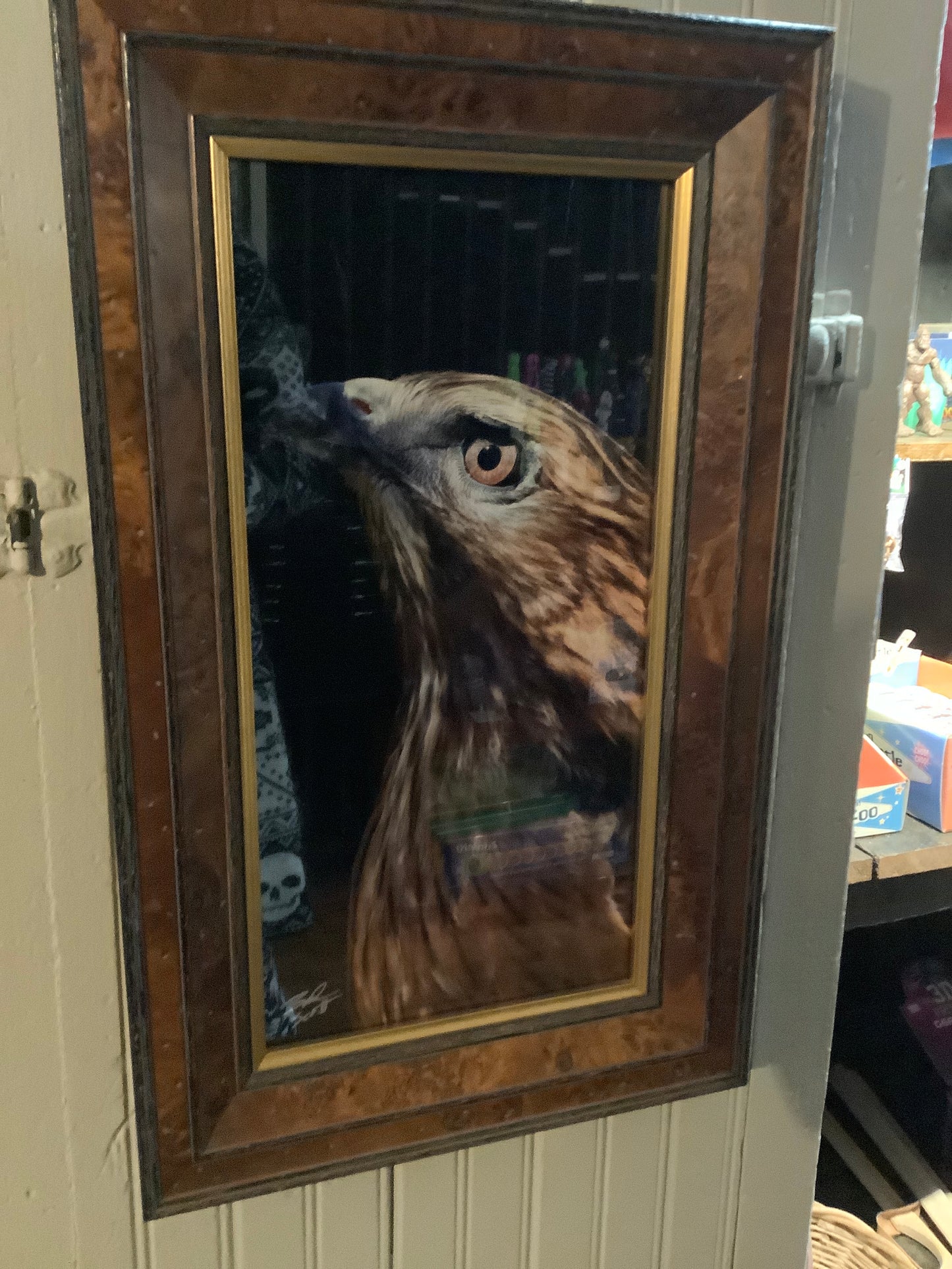 Original Photography by Brandon Scott