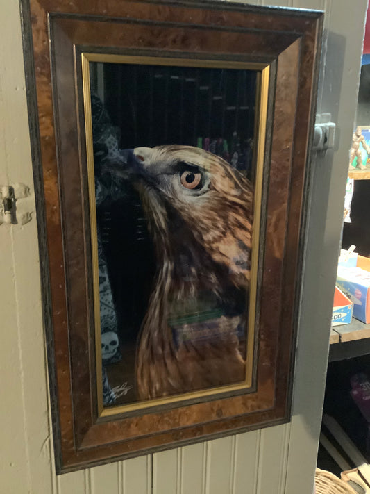 Original Photography by Brandon Scott