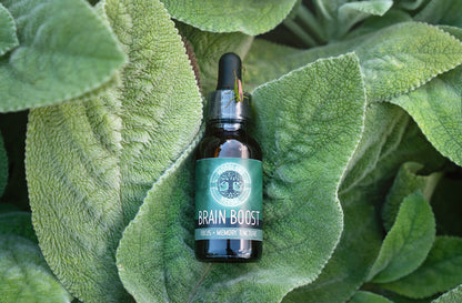 Brain Boost Extract - Potent Blend for Focus, Memory, Mental Clarity, Brain Fog