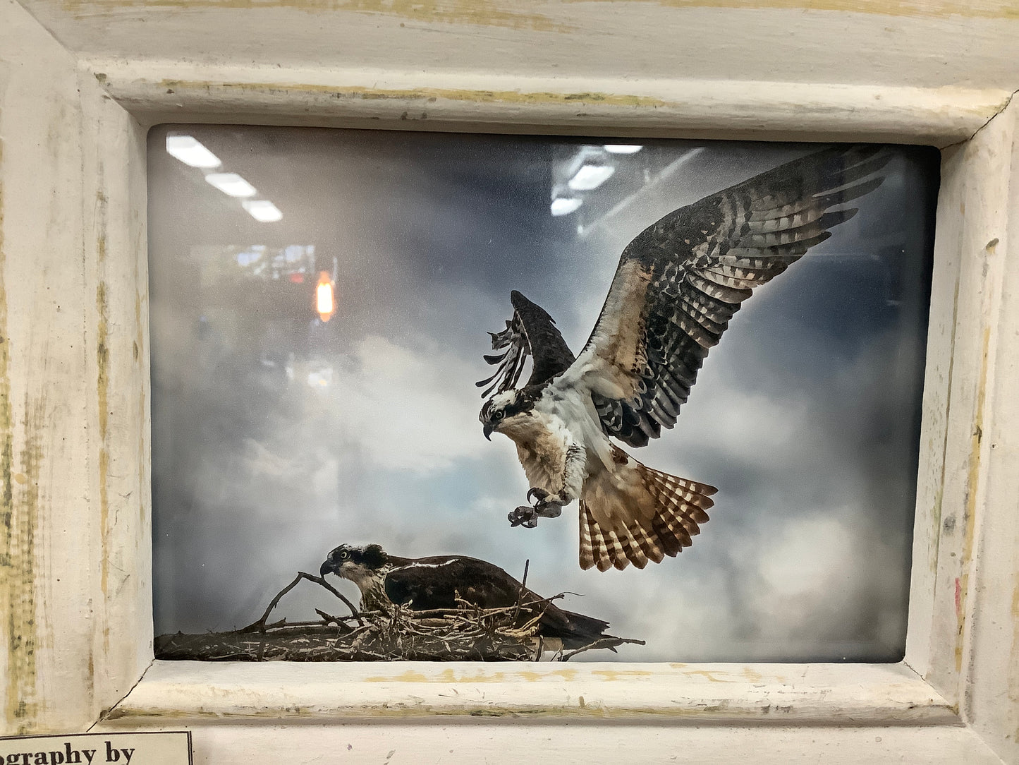 Original Photography by Brandon Scott