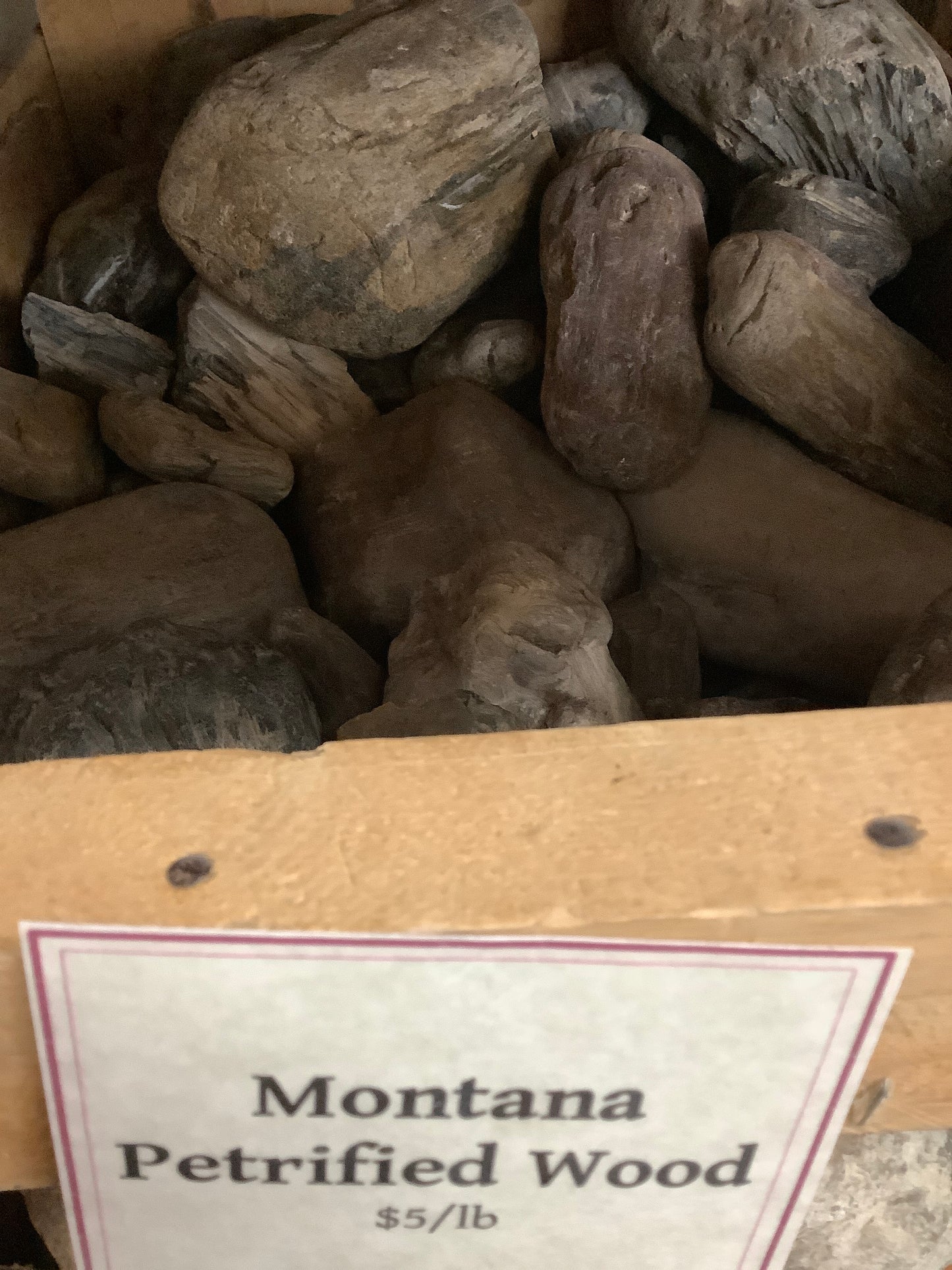 Montana Petrified wood by pound rough in crate
