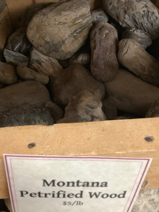 Montana Petrified wood by pound rough in crate