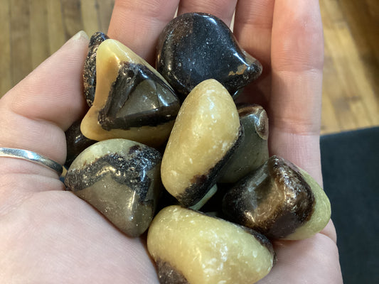 Septarian Tumbled