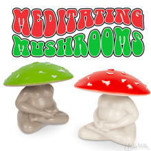 Load image into Gallery viewer, Meditating Mushrooms