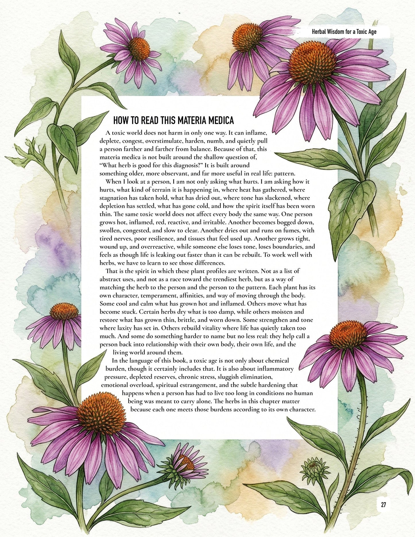 Herbal Wisdom for a Toxic Age: Printed Edition by Brandon Elijah Scott