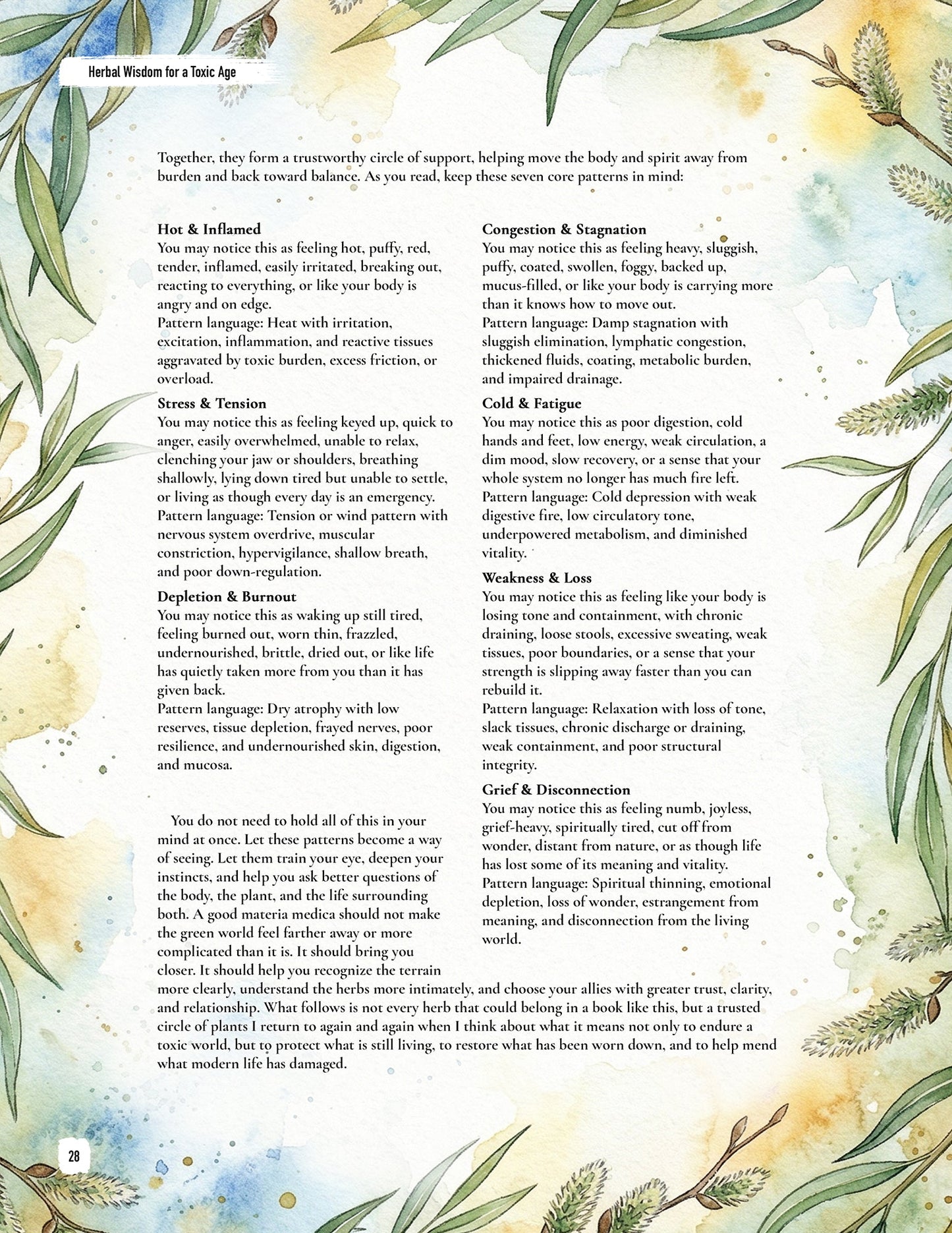 Herbal Wisdom for a Toxic Age: Printed Edition by Brandon Elijah Scott