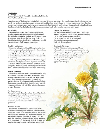Herbal Wisdom for a Toxic Age: Printed Edition by Brandon Elijah Scott