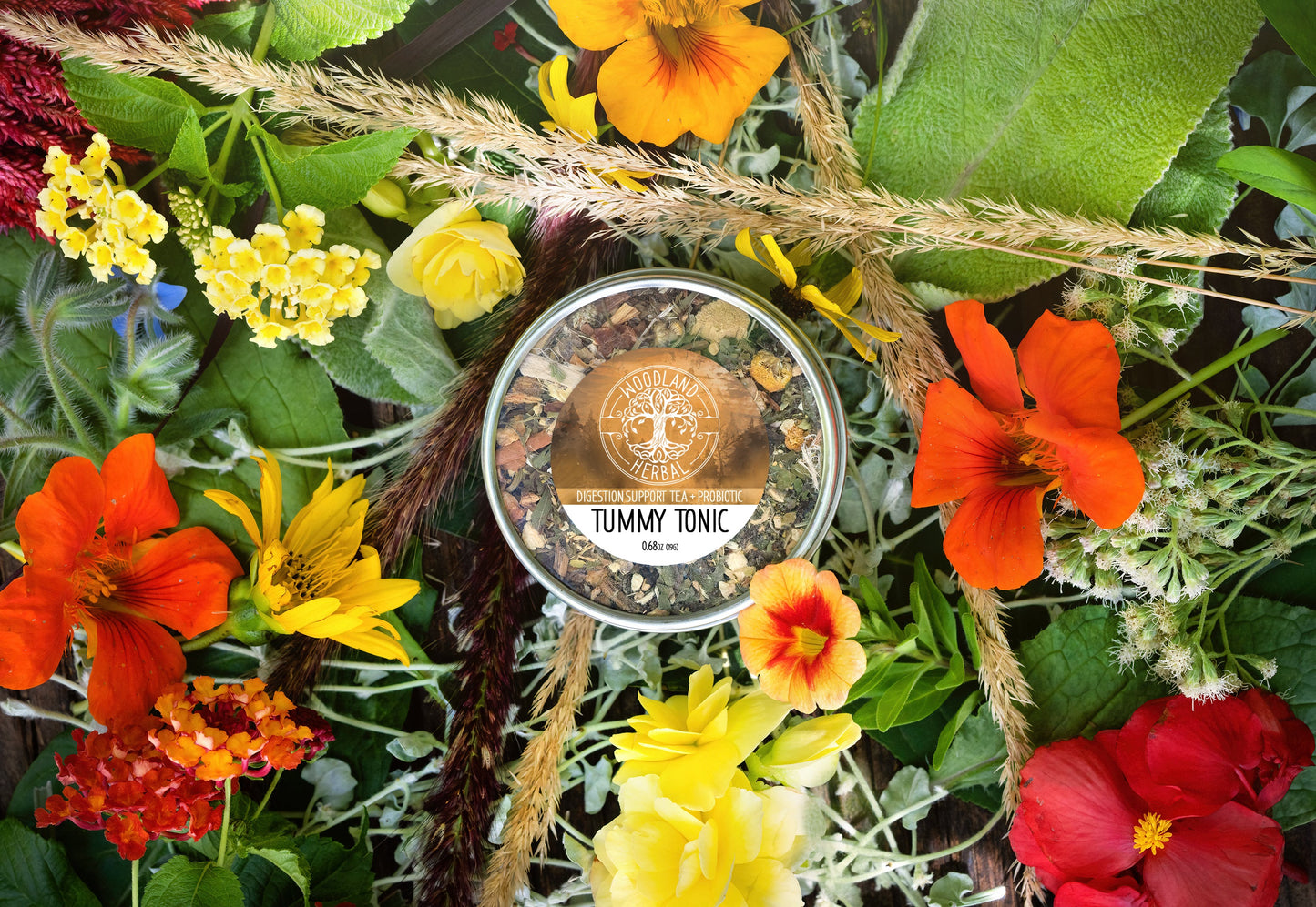 Tummy Tonic Tea - Organic Probiotic Tea for Digestion Support, Nausea, Belly Aches, Heartburn
