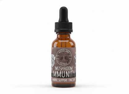 Mushroom Immunity Extract - Potent Blend for Immune System Support, General Wellness