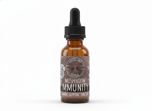 Mushroom Immunity Extract - Potent Blend for Immune System Support, General Wellness