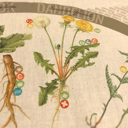 Foraging Reference Bandana
