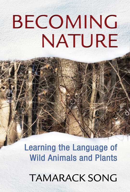 Becoming Nature by Tamarack Song