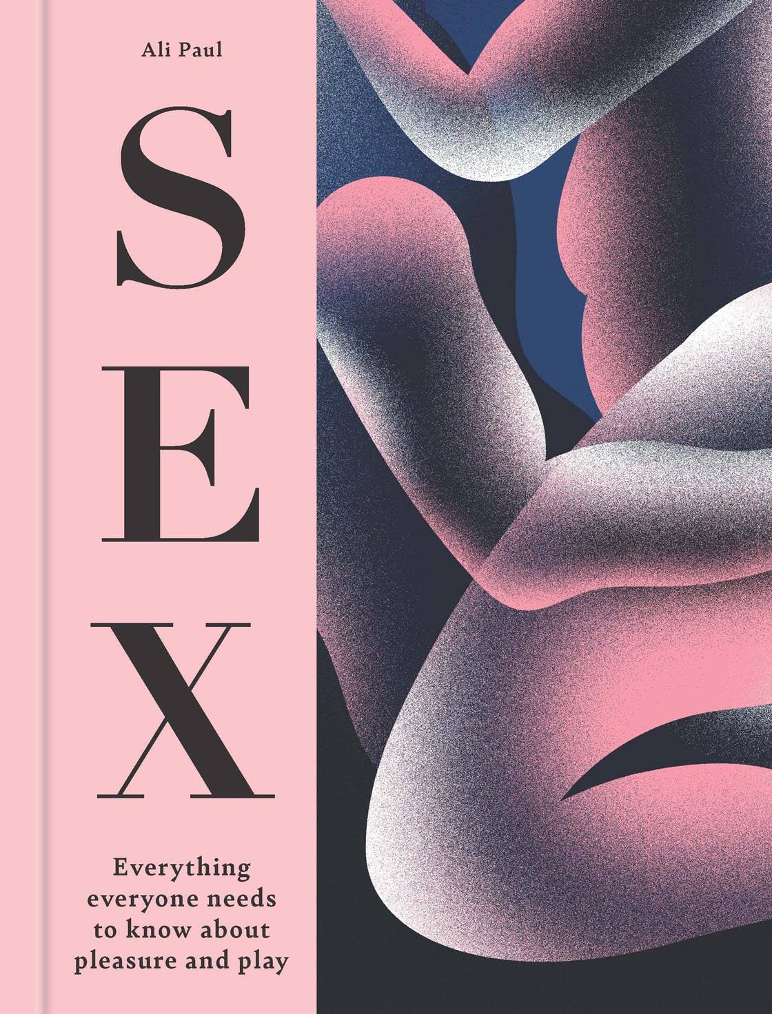 SEX: Everything Everyone Needs to Know about Pleasure & Play