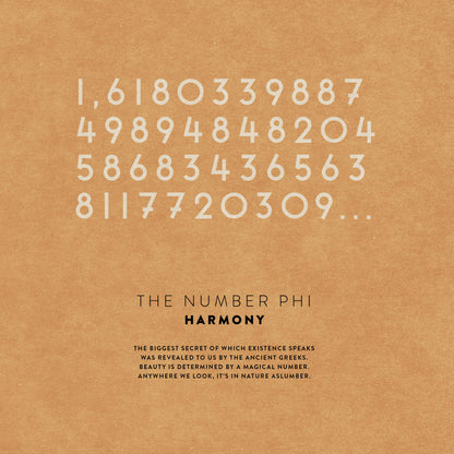 The Mathematics of the Universe