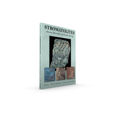 Stromatolites: Ancient, Beautiful, and Earth-Altering