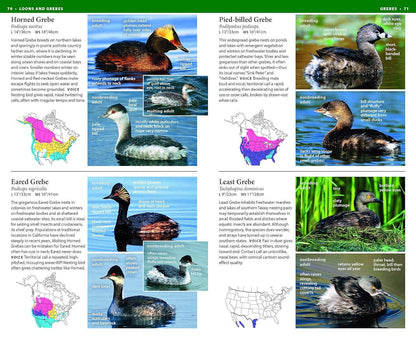 NWF Field Guide to Birds of North America