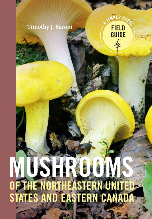 Mushrooms of Northeastern US and Eastern Canada