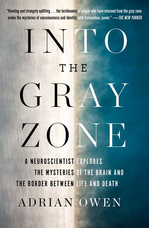 Into the Gray Zone by Adrian Owen