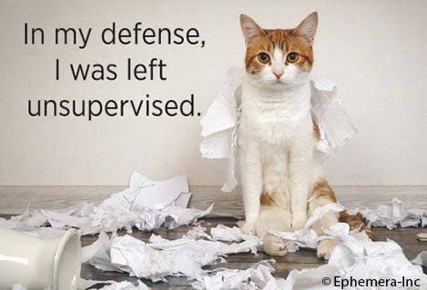 Magnet-In my defense, I was left unsupervised.