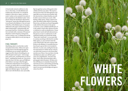 Wildflowers of the Midwest