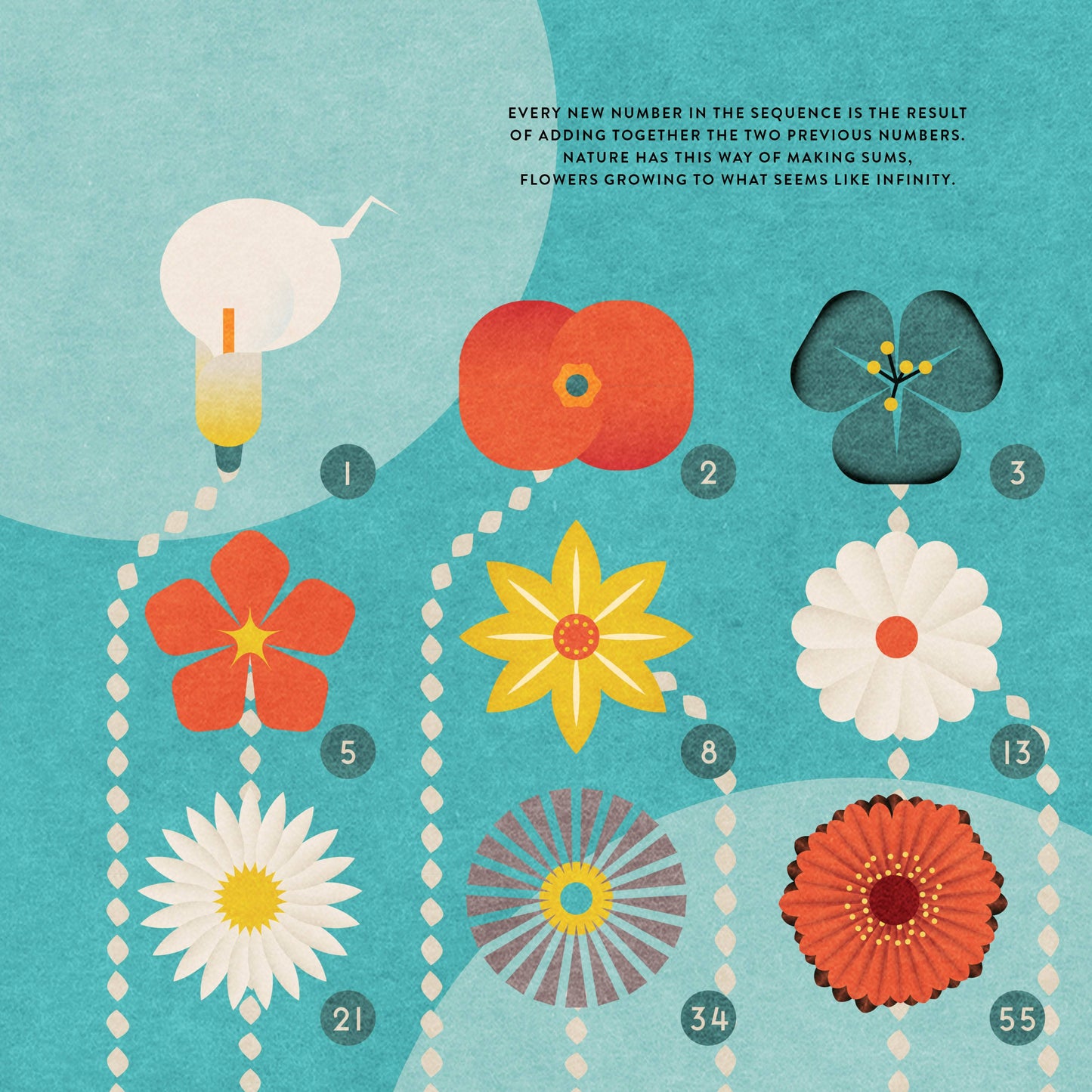 The Mathematics of the Universe