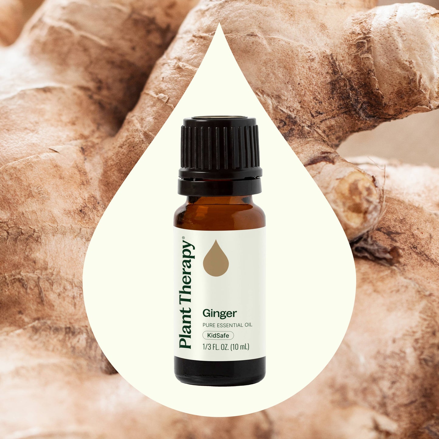 Ginger Essential Oil 10 mL
