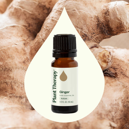 Ginger Essential Oil 10 mL