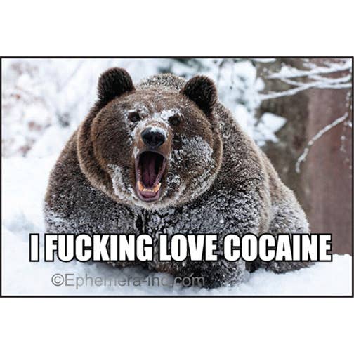 Magnet-I fucking love cocaine