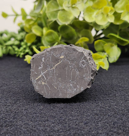 Shungite Figurine Owl Facing Front (2.25x1.75x2.25")