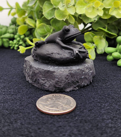Shungite Figurine Frog on Stone(2.5x2x1.75")(EMF Protection)