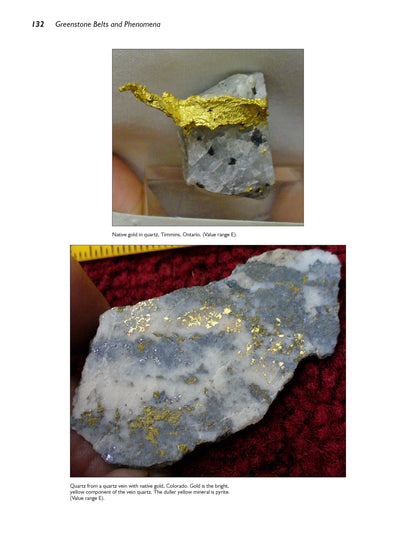 Jewels of the Early Earth
