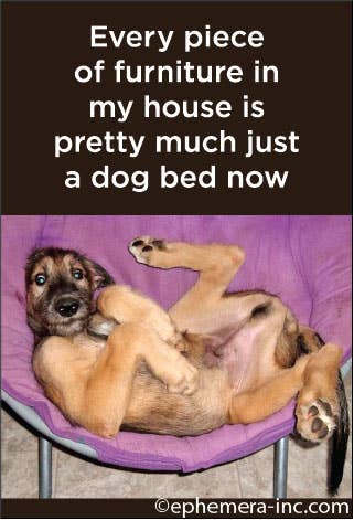 MAGNET: Every piece of furniture in my house
