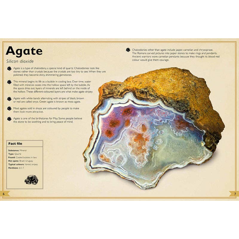 The Magnificent Book of Rocks and Minerals