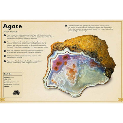 The Magnificent Book of Rocks and Minerals