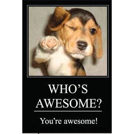 Magnet-WHO'S AWESOME? You're awesome!
