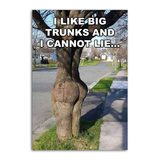 Magnet: I like big trunks