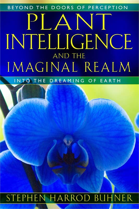 Plant Intelligence and the Imaginal Realm by Stephen Harrod Buhner
