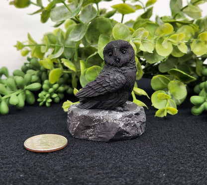Shungite Figurine Owl Facing Sideways (2.25x1.75x2.25")