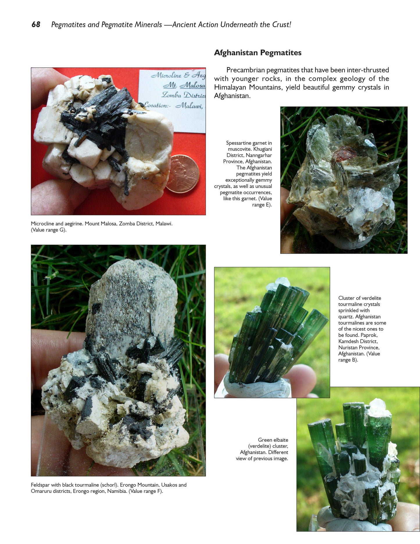 Jewels of the Early Earth