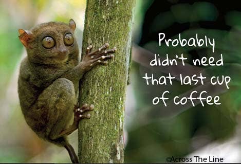 Magnet-Probably didn't need that last cup of coffee