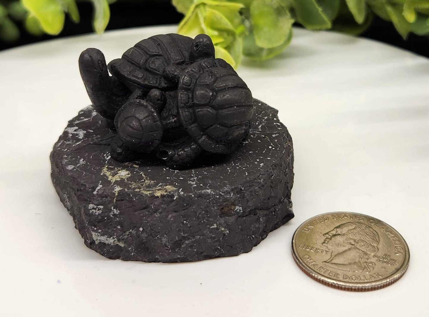 Shungite Figurine Turtle Family (1.75"x1.5") EMF Protection