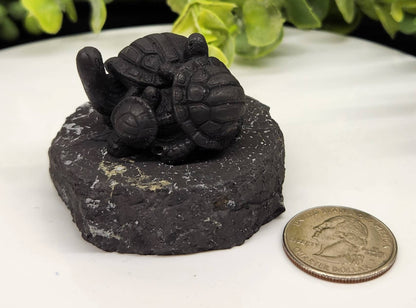 Shungite Figurine Turtle Family (1.75"x1.5") EMF Protection
