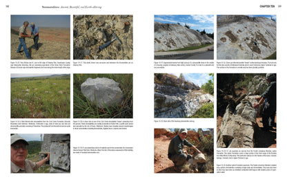 Stromatolites: Ancient, Beautiful, and Earth-Altering