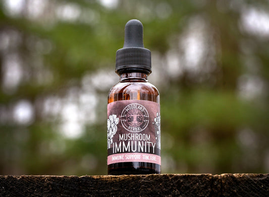Mushroom Immunity Extract - Potent Blend for Immune System Support, General Wellness