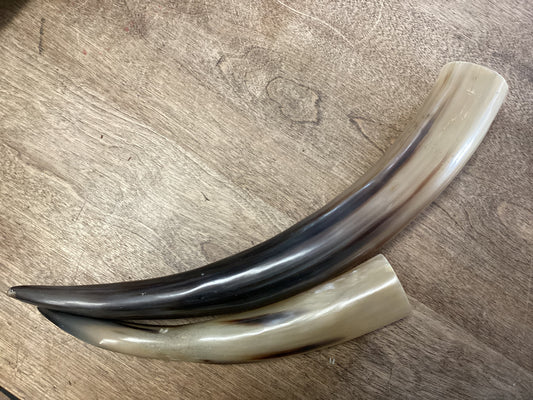 Horn