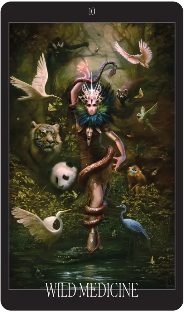 The Oracle of the Vampire Fae: Fierce Feminine Wisdom from the Baobhan Sith