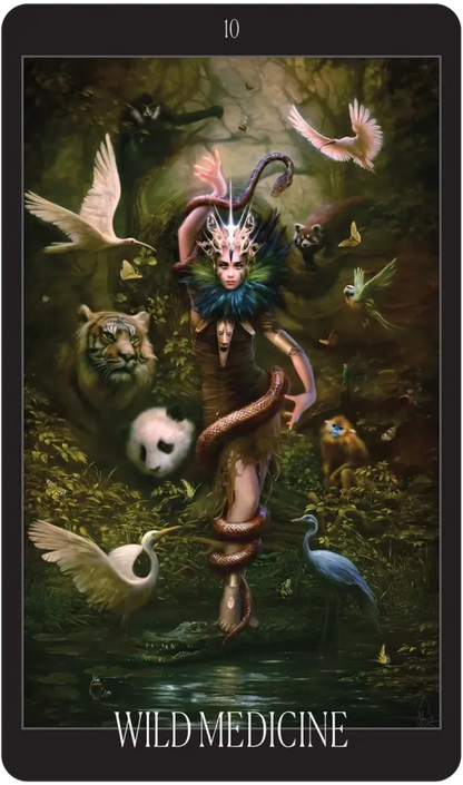 The Oracle of the Vampire Fae: Fierce Feminine Wisdom from the Baobhan Sith