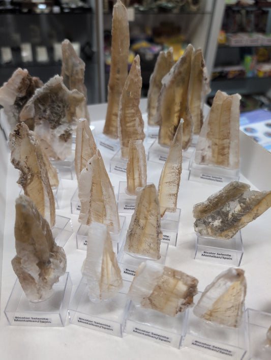 Bicolor Selenite on Stand