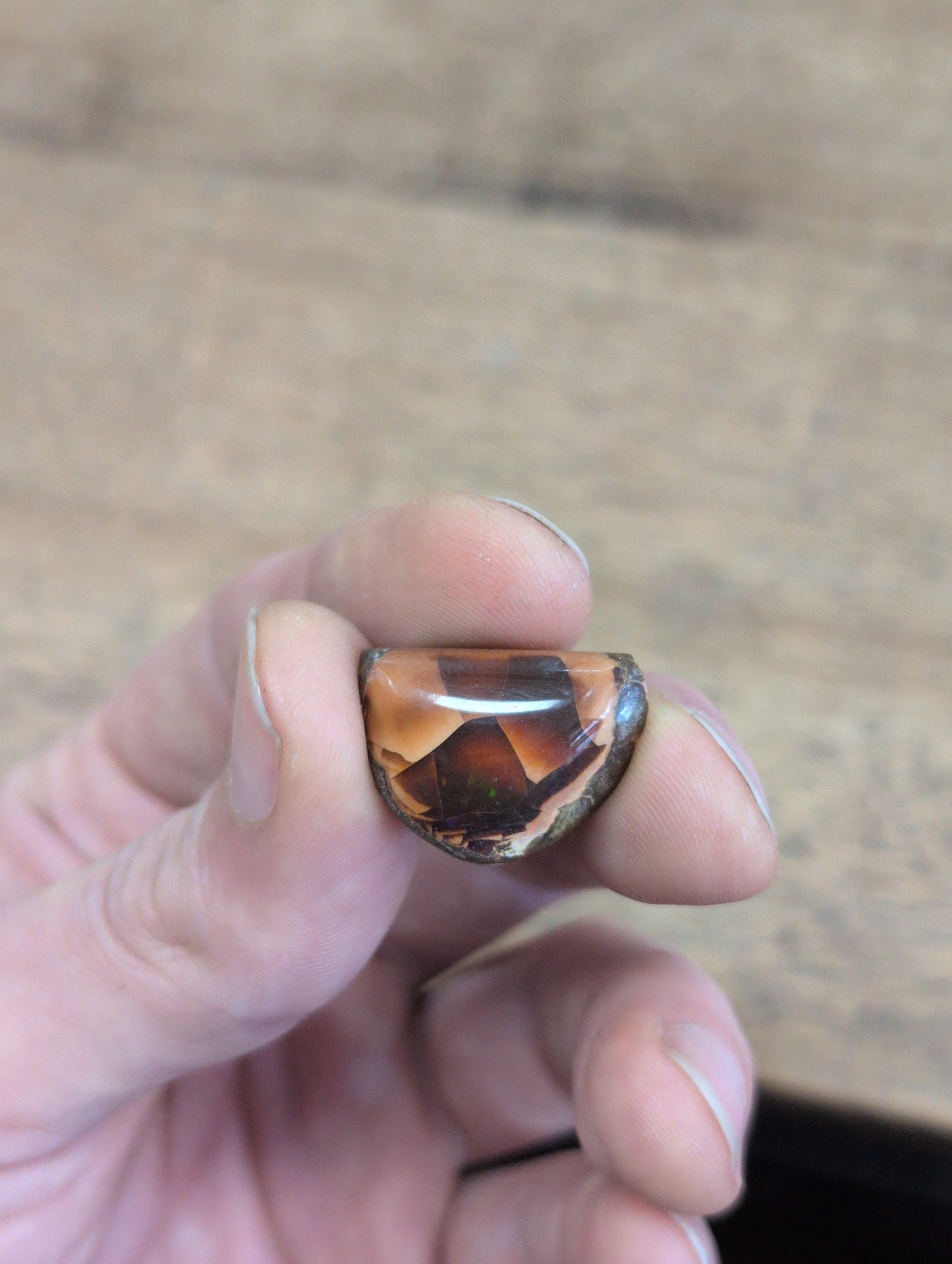 Chocolate Opal Ethiopian Mezezo Shewa Nodule